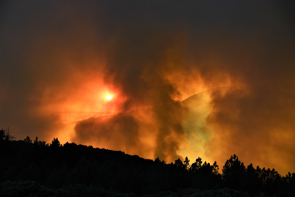 Sun Photo A00035 Sun and Smoke from Holy Fire